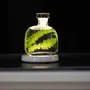 Decorative objects - Theophile's Herbarium — White Leather - Sustainable Botanical Capsule - THEOPHILE BERTHON