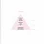 Parfums d'intérieur - MINITRIGGER 100ML AME' ROSA - AMÉ