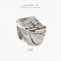 Objets de décoration - Marbre Emotion Blanc Series (M35) – Toilet - ARTOLETTA® MAISON COLLECTION