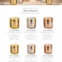 Bougies - Signature Elite Medium - Gold - LE SAVOIR VIVRE