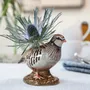 Vases - Vases à bourgeons - QUAIL DESIGNS EUROPE BV