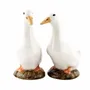 Ceramic - Salt and Pepper Sets - QUAIL DESIGNS EUROPE BV