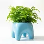 Pots de fleurs - Cache-pot BUDDY – Bleu Ciel - BIBAH