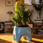Pots de fleurs - Cache-pot BUDDY – Bleu Ciel - BIBAH