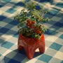 Pots de fleurs - Cache-pot BUDDY – Rouge Poppy - BIBAH