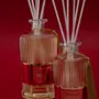 Parfums d'intérieur - DIFFUSORE 200 ML AME' ROSSO - AMÉ