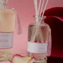 Parfums d'intérieur - DIFFUSORE 200 ML AME' ROSA - AMÉ