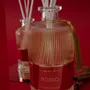 Parfums d'intérieur - DIFFUSORE 500 ML AME' R0SS0 - AMÉ