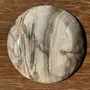 Unique pieces - Empty pocket, dish or circular plate in striped gray petrified wood - OFFICE OBJETS