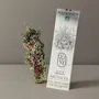 Gifts - Little Hedgehog Bouquet - Organic Fumigation Stick - TOTEM NATURE