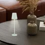 Table lamps - BEPER P207ILI208 Rechargeable Table Lamp, Wireless LED Light, Dimmable, Bedside Lamp, USB Included - BEPER SRL