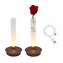 Lampes à poser - BEPER P207ILI550 Lampe de table rechargeable FLORA, avec vase lumineux pour fleurs, 3 nuances de lumière, autonomie 24 h, recharge USB - BEPER SRL