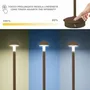 Table lamps - BEPER P207ILI155 Wireless Rechargeable Table Lamp, 3 Colour Temperatures, Dimmable, USB Type-C Included, Portable for Desk - BEPER SRL
