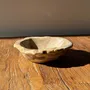 Unique pieces - Beige round petrified wood cup D21- 3780 - OFFICE OBJETS
