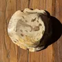 Unique pieces - Beige round petrified wood cup D21- 3780 - OFFICE OBJETS