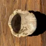 Unique pieces - Beige round petrified wood cup D21- 3780 - OFFICE OBJETS
