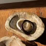 Unique pieces - Beige oval petrified wood bowl 24x19 - 3781 - OFFICE OBJETS