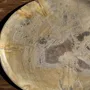 Pièces uniques - Vide poche ou plat en bois pétrifié beige plusieurs taches grises - OFFICE OBJETS