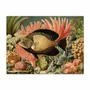 Placemats - Placemat Angel Fish - MA CHÉRIE MON AMOUR