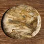 Unique pieces - Petrified wood dish or pouch empty D27x24 -3319 - OFFICE OBJETS