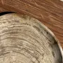 Unique pieces - Empty pouch or dish in light gray petrified wood with rings D27x25 -33 - OFFICE OBJETS