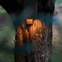 Outdoor wall lamps - Liù II - LE LUCI ARTIGIANE