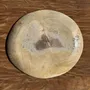 Unique pieces - Empty pouch or dish in beige petrified wood with brown stain in the ce - OFFICE OBJETS