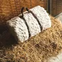 Throw blankets - Plaid Versailles - WARO