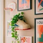 Vases - Vase Sneaker - UPSIDE STORIES