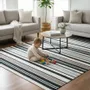 Contemporary carpets - Hand woven Polyester rug, Streak - Black/white - NUZRAT CARPET EMPORIOUM