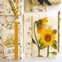 Card shop - Tassotti greeting cards - TASSOTTI - ITALY