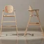 Tables et chaises pour enfant - Chaise haute évolutive 3 en 1 Growing Green - NOBODINOZ
