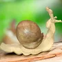 Pièces uniques - Escargot en bois massif - Epicéa - BOIS DE LION