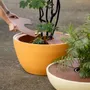 Pots de fleurs - Disc Planters - WL CERAMICS