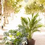 Pots de fleurs - Disc Planters - WL CERAMICS