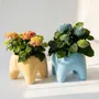 Pots de fleurs - Cache-pot BUDDY – Butter - BIBAH