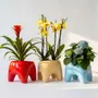 Pots de fleurs - Cache-pot BUDDY – Butter - BIBAH