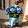 Pots de fleurs - Cache-pot BUDDY – Bleu Ciel - BIBAH