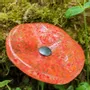 Floral decoration - Round small glass flower for outdoor use in transparent, orange, red colour with 43 cm stainless steel stem - CARNEOL GLASS