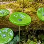 Floral decoration - Round small flower for outdoor use in applegreen - CARNEOL GLASS