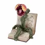 Objets de décoration - MONSTER PLANT IN SPELL BOOK TT OR/CRM 29CM - GOODWILL M&G