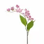 Floral decoration - ASIATIC FLOWER STEM PNK/PRPL/GRN 78CM - GOODWILL M&G