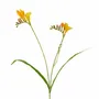 Décorations florales - FREESIA FLOWER STEM YL/OR/GRN 61CM - GOODWILL M&G