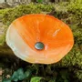 Accessoires de jardinage - Fleur de calla pour l'extérieur en crème-orange - CARNEOL GLASS