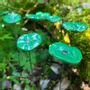 Floral decoration - Round small glass flower for outdoor use in green colour with 43 cm stainless steel stem - CARNEOL GLASS