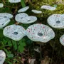 Floral decoration - Round small glass flower for outdoor use in white, red, black - CARNEOL GLASS