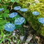 Floral decoration - Small glass flower for in transparent, dark blue colour - CARNEOL GLASS