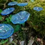 Floral decoration - Small glass flower for in transparent, dark blue colour - CARNEOL GLASS
