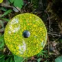 Décorations florales - Petite fleur ronde en verre pour l'extérieur de couleur transparente, vert pomme, jaune avec tige en acier inoxydable de 43 cm - CARNEOL GLASS