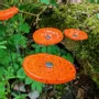 Décorations florales - Petite fleur ronde en verre pour l'extérieur de couleur orange, noire avec tige en acier inoxydable de 43 cm - CARNEOL GLASS